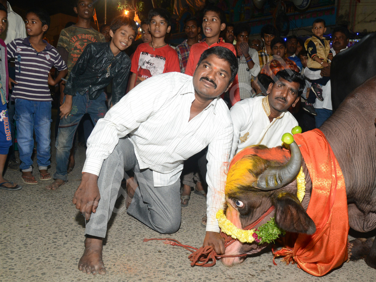 Sadar Festival Celebrations In Hyderabad - Sakshi9