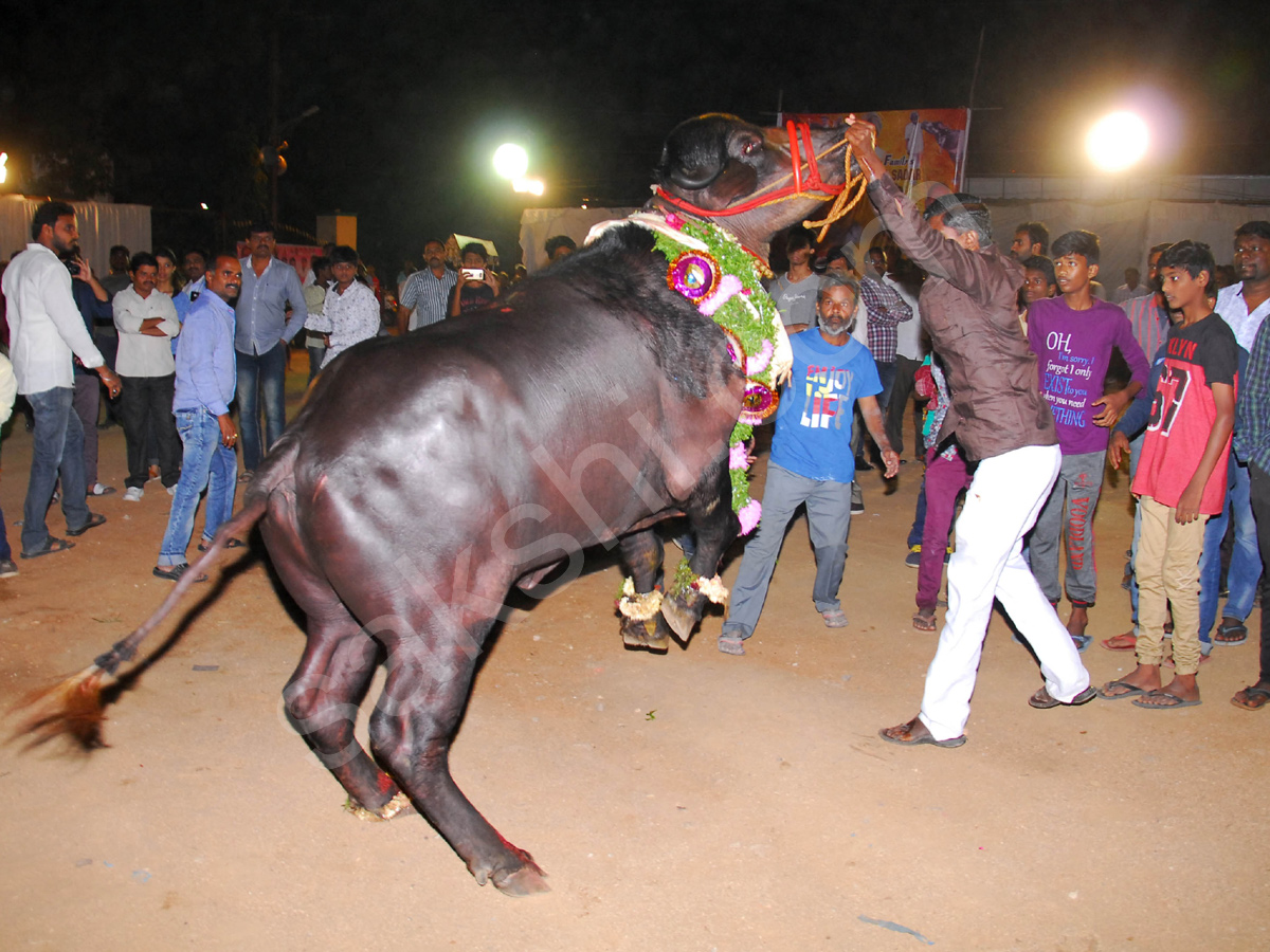 Sadar Festival Celebrations In Hyderabad - Sakshi25