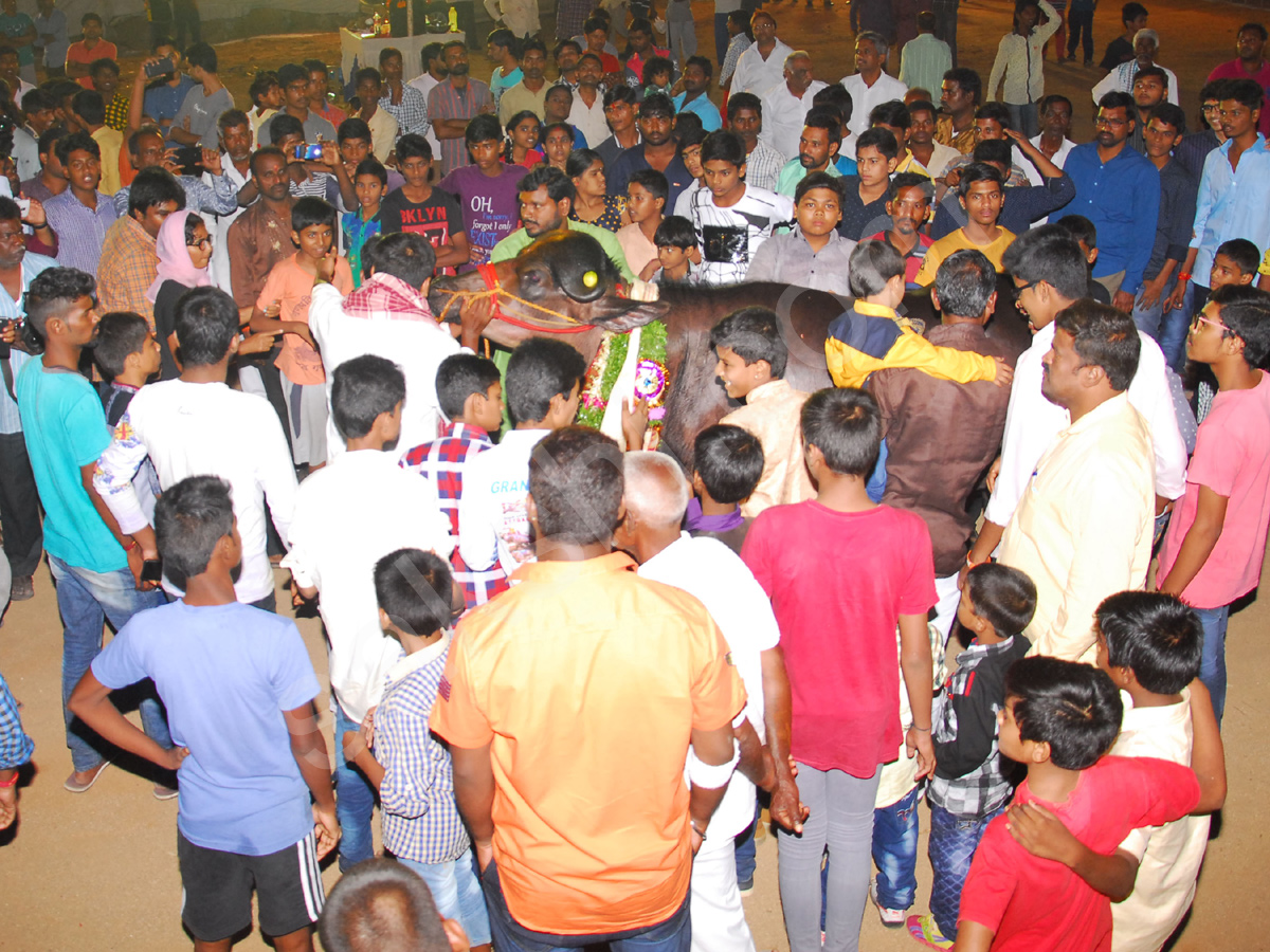 Sadar Festival Celebrations In Hyderabad - Sakshi26