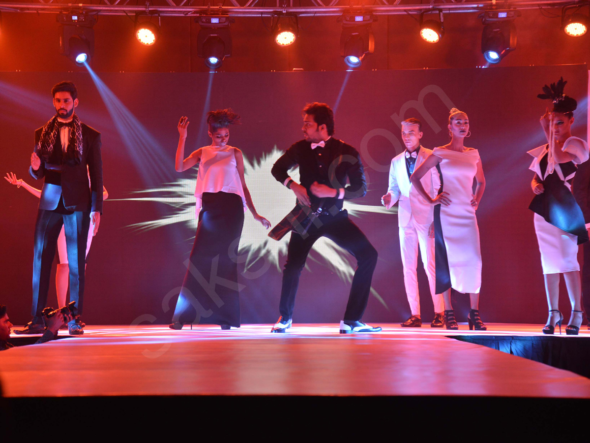 telangana artist assocation launch at park hotel somajiguda - Sakshi1