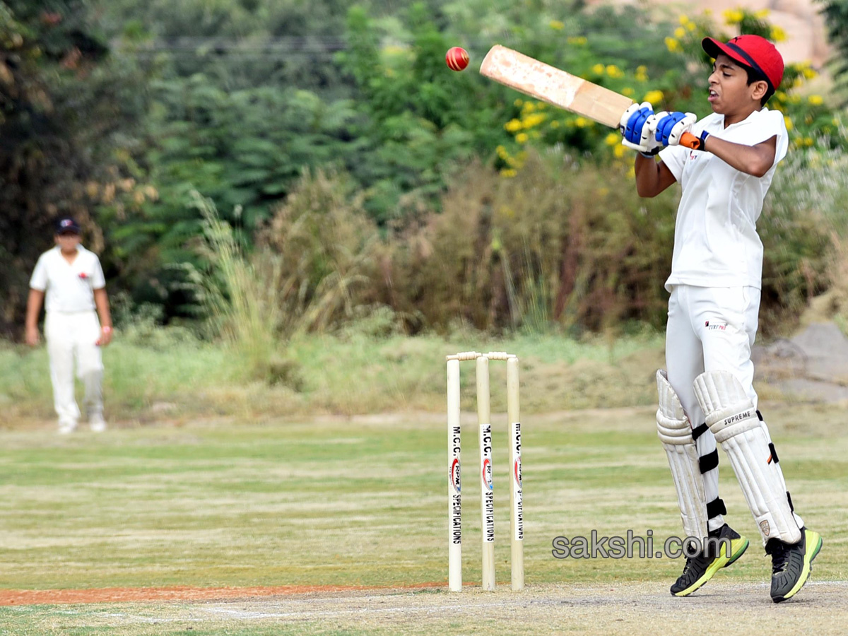 Sakshi Arena one School Fest Cricket Matches - Sakshi13