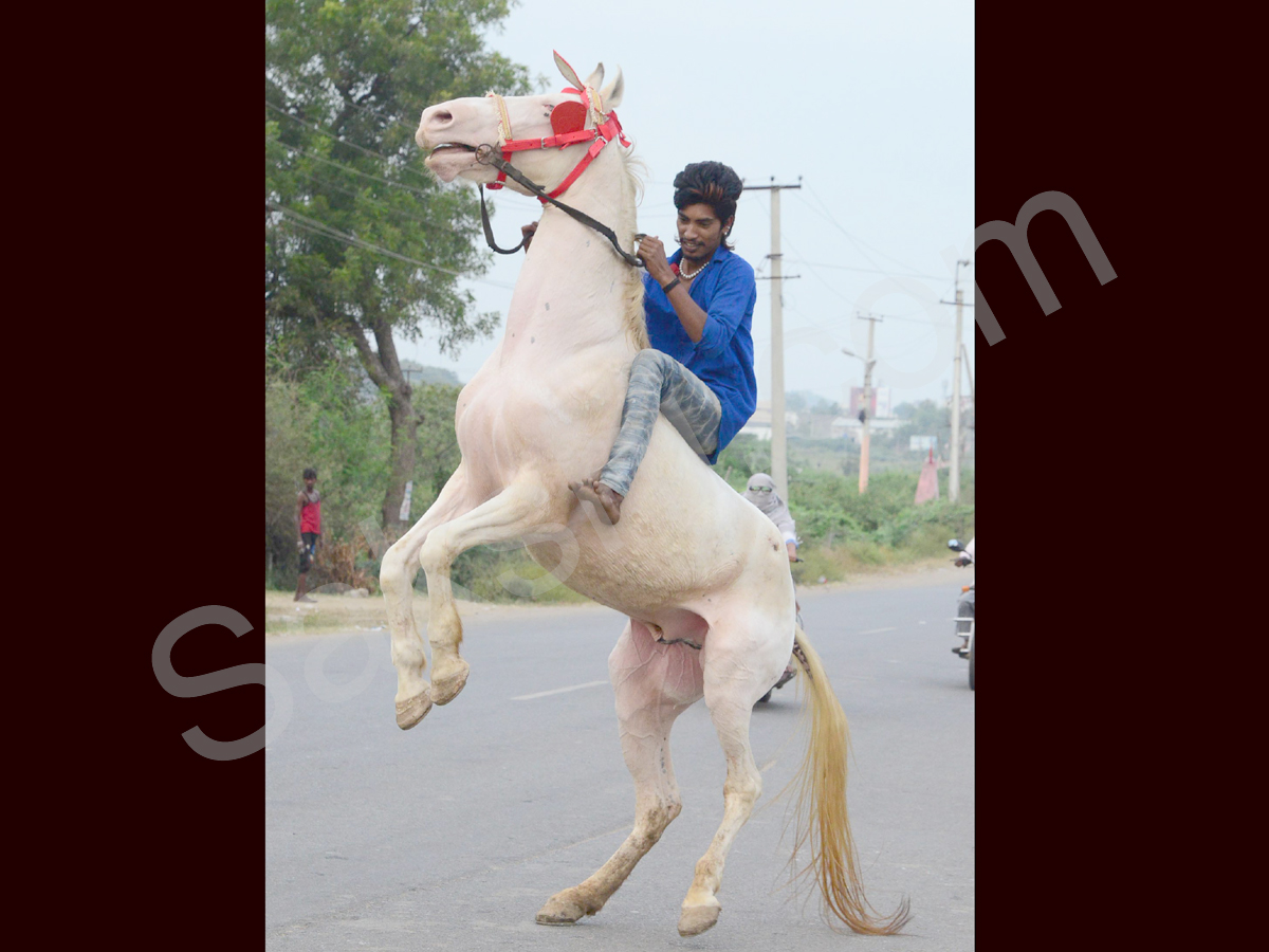 best pics of the week - Sakshi - Sakshi - Sakshi - Sakshi15