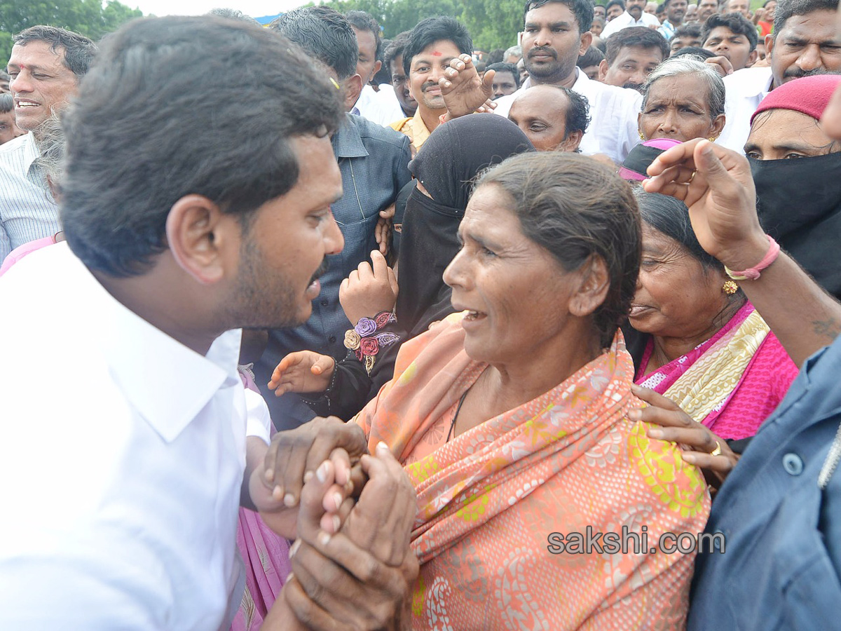 ys jagan starts praja sankalpa yatra second day - Sakshi14