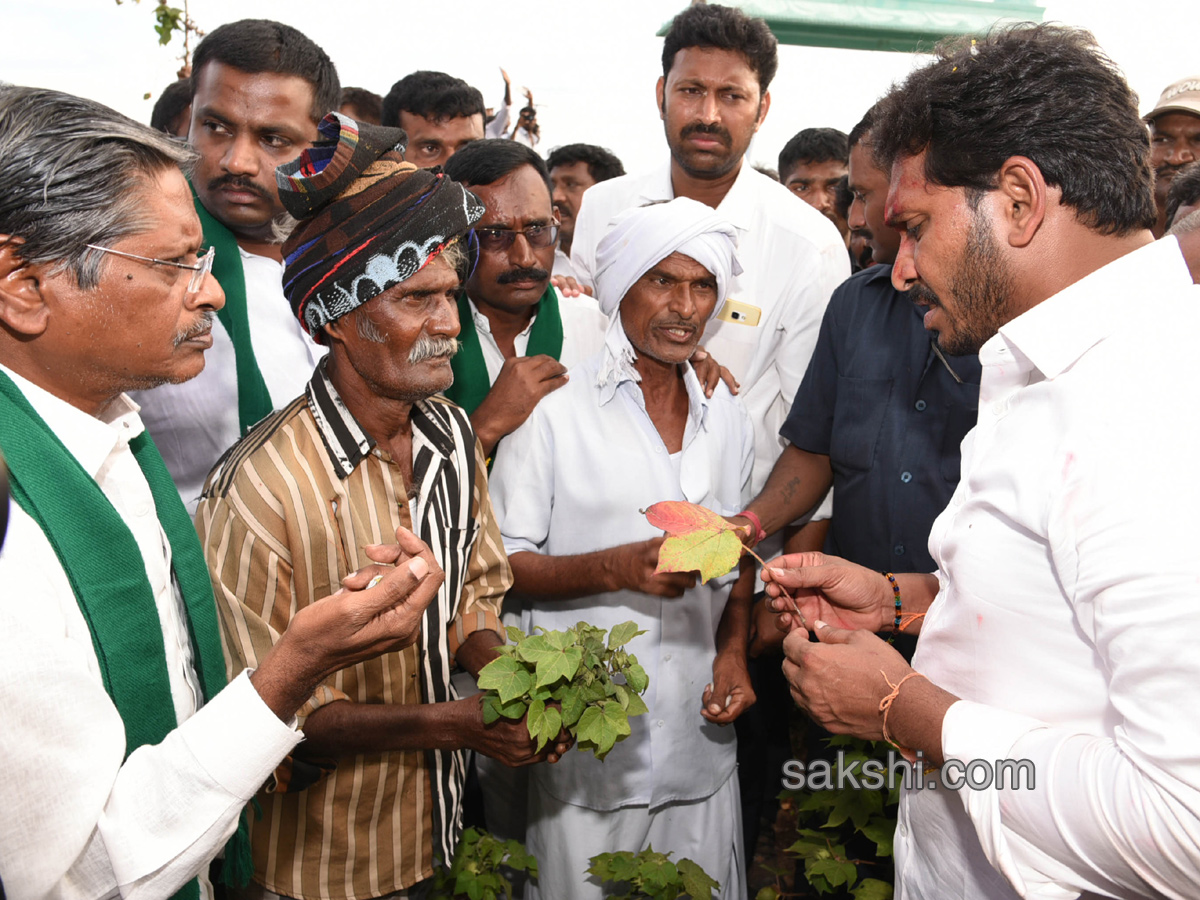 ys jagan starts praja sankalpa yatra second day - Sakshi38