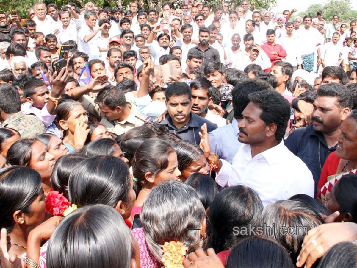 31st day Praja Sankalpa Yatra completed - Sakshi14