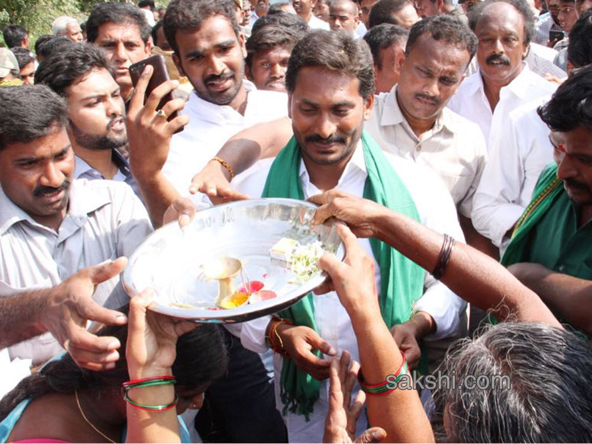 31st day Praja Sankalpa Yatra completed - Sakshi15