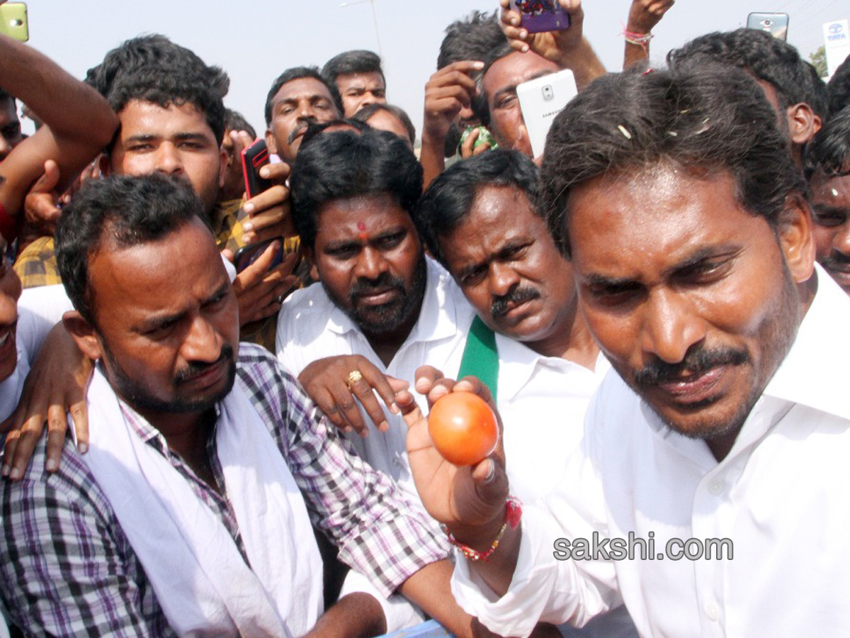 34th day praja sankalpa yatra completed - Sakshi7