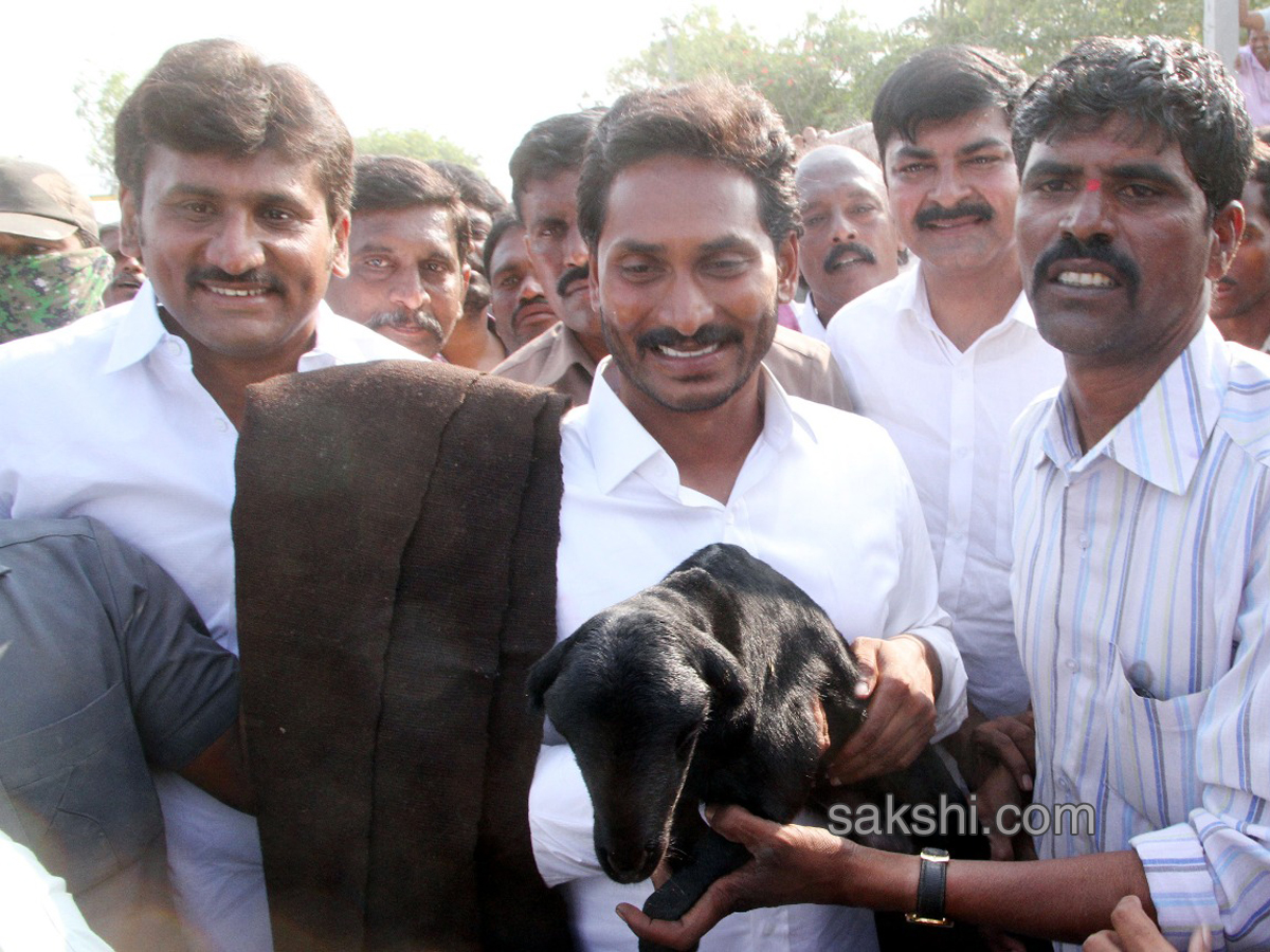 34th day praja sankalpa yatra completed - Sakshi8