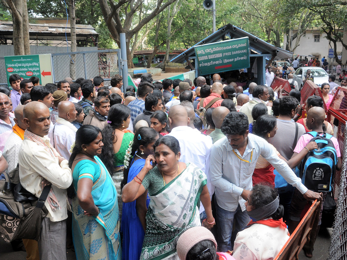 Heavy rush at Tirumala - Sakshi1