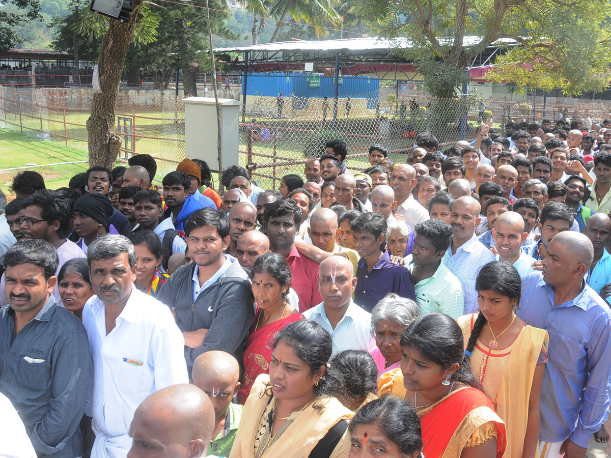 Heavy rush at Tirumala - Sakshi12