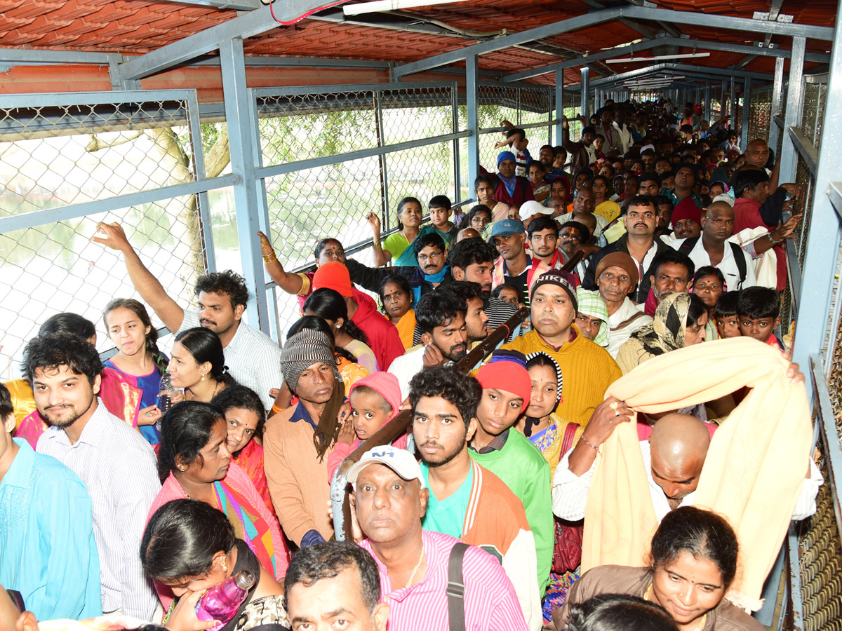 Heavy rush at Tirumala - Sakshi6