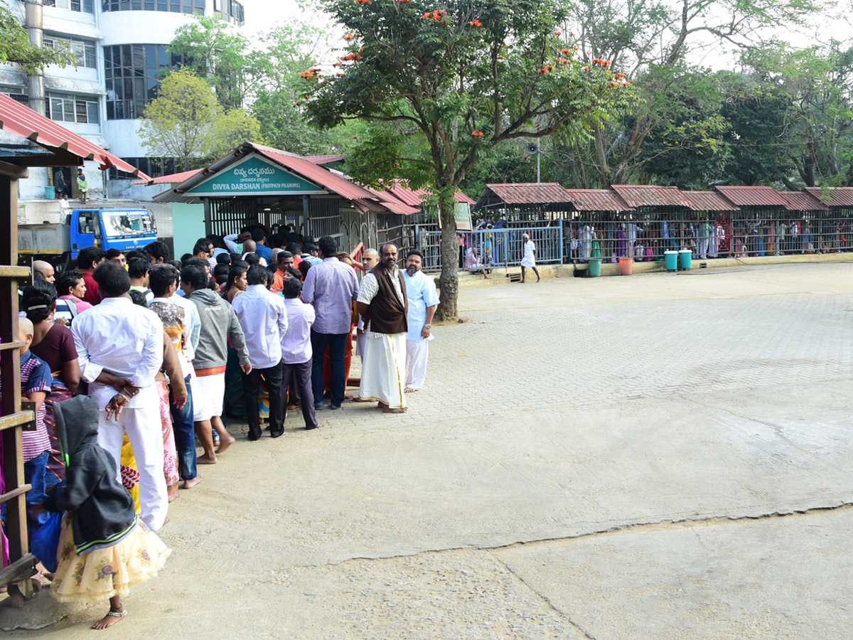 Heavy rush at Tirumala - Sakshi9