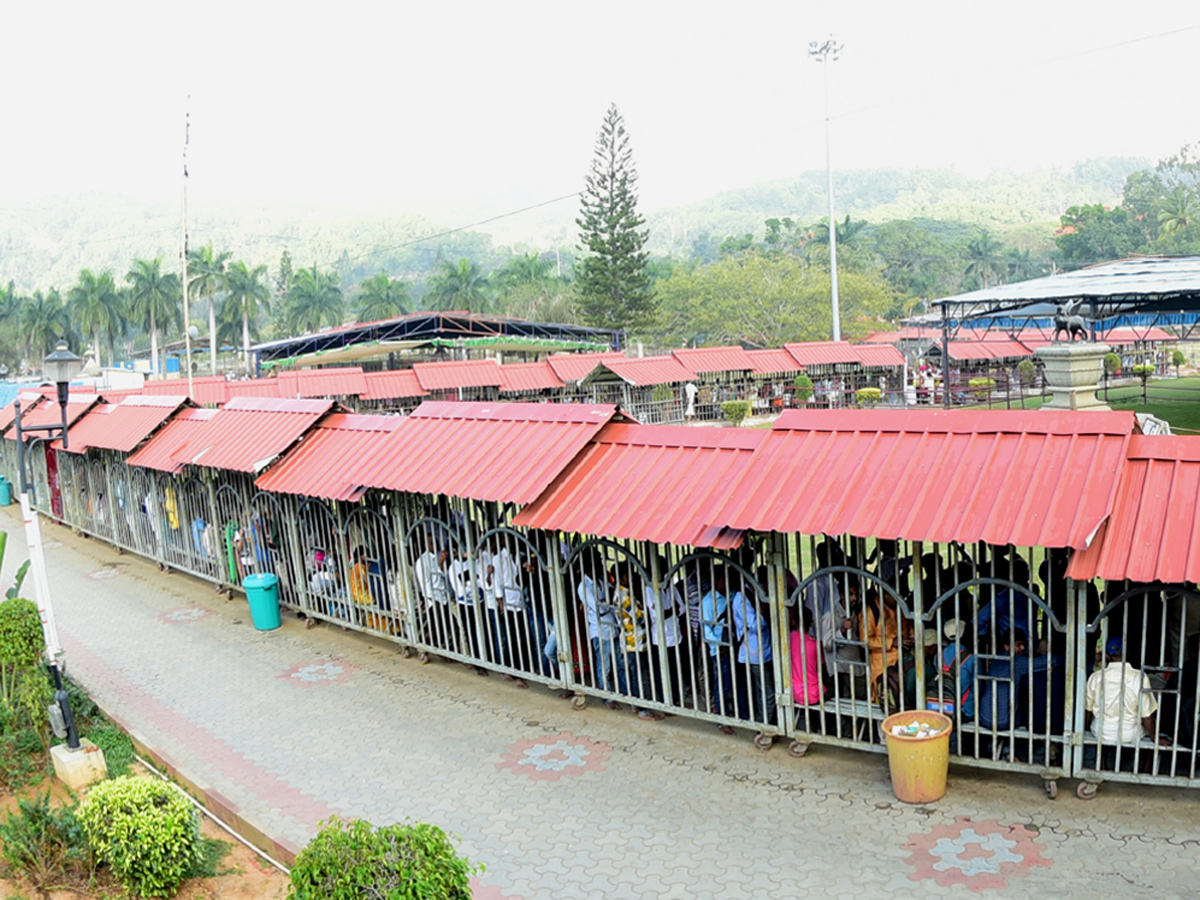 Heavy rush at Tirumala - Sakshi10