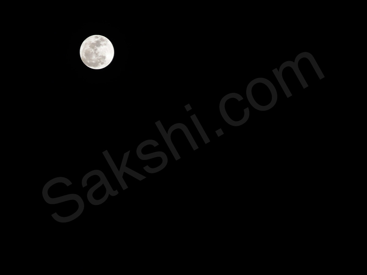 50th week best pics - Sakshi19