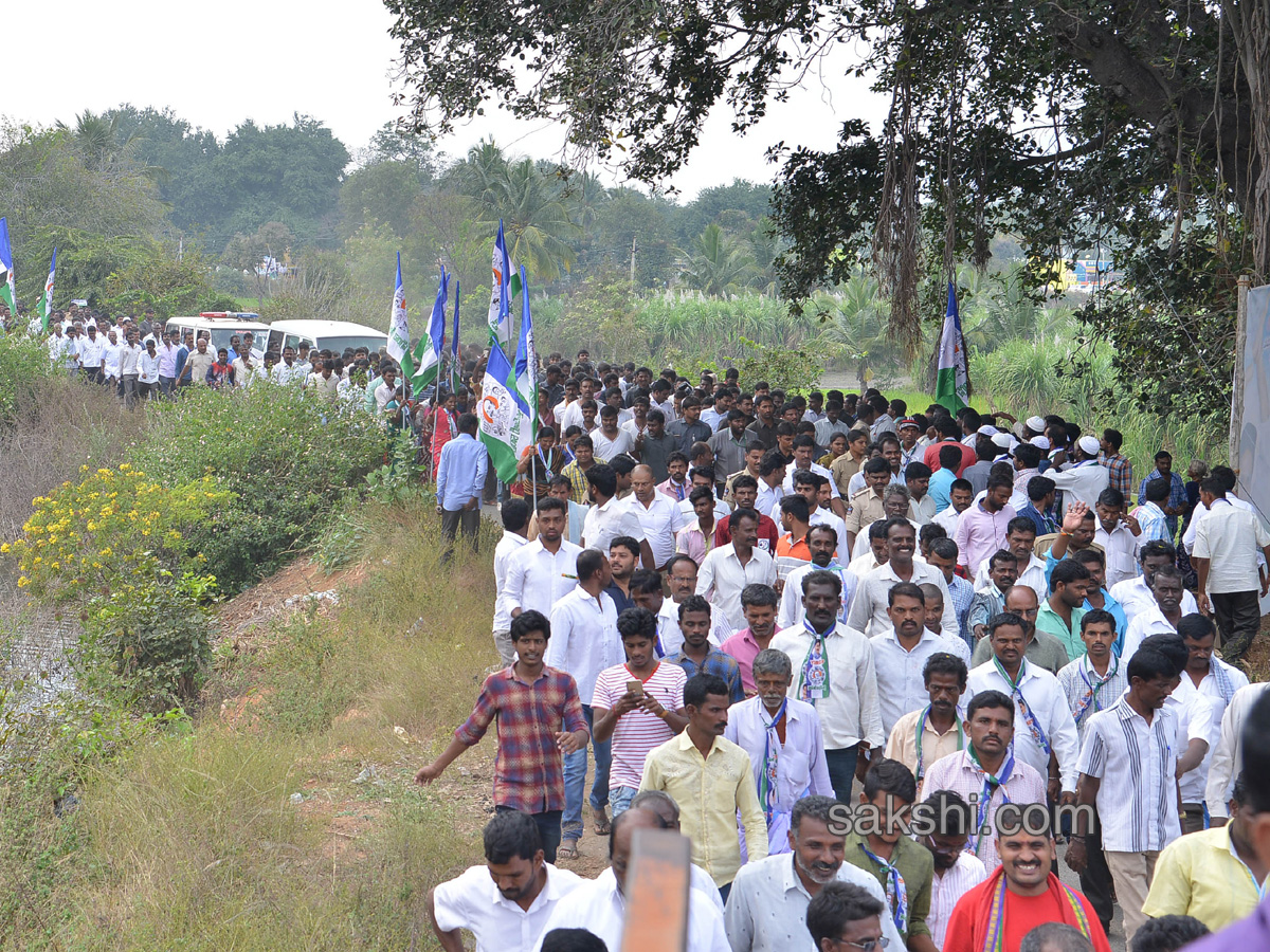 YS Jagan Day 52 Of PrajaSankalpaYatra - Sakshi31
