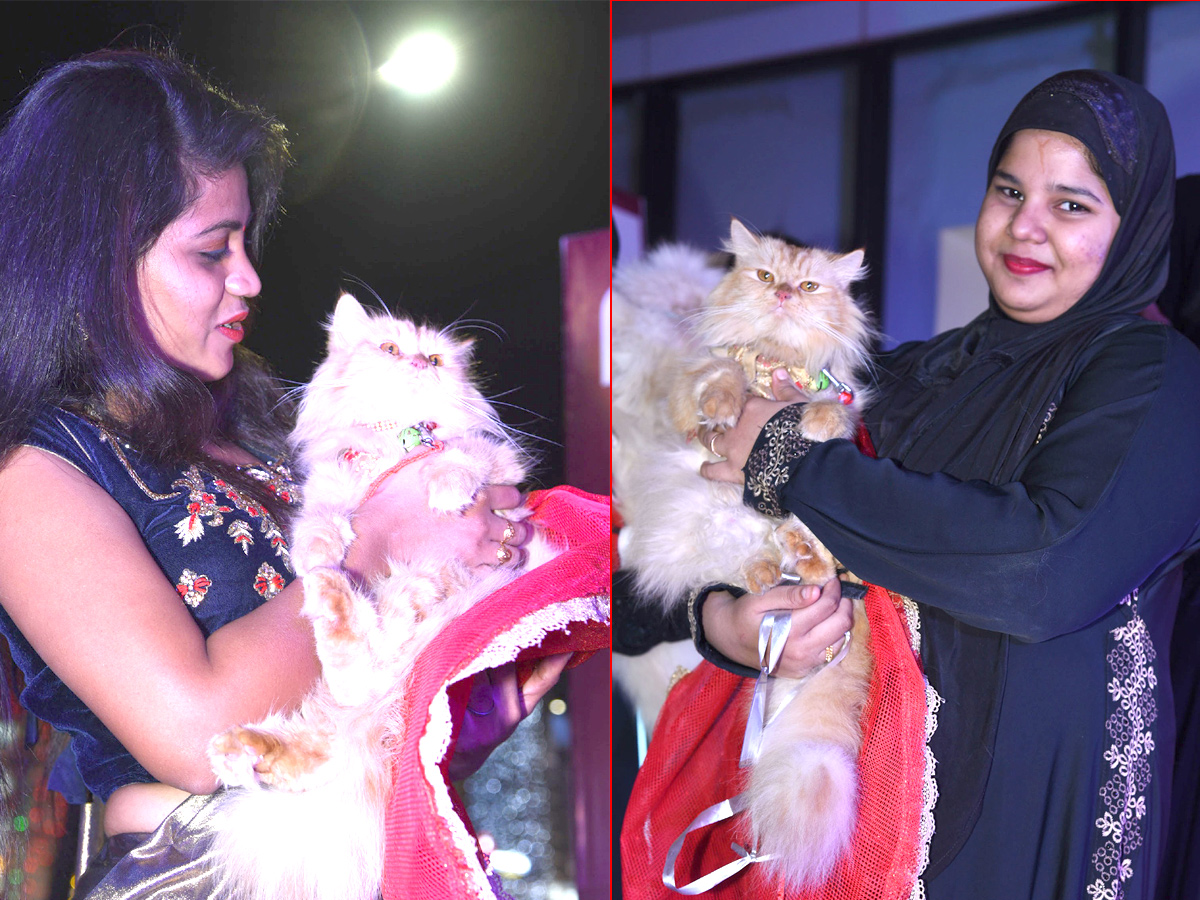 Cat Fashion Show - Sakshi17