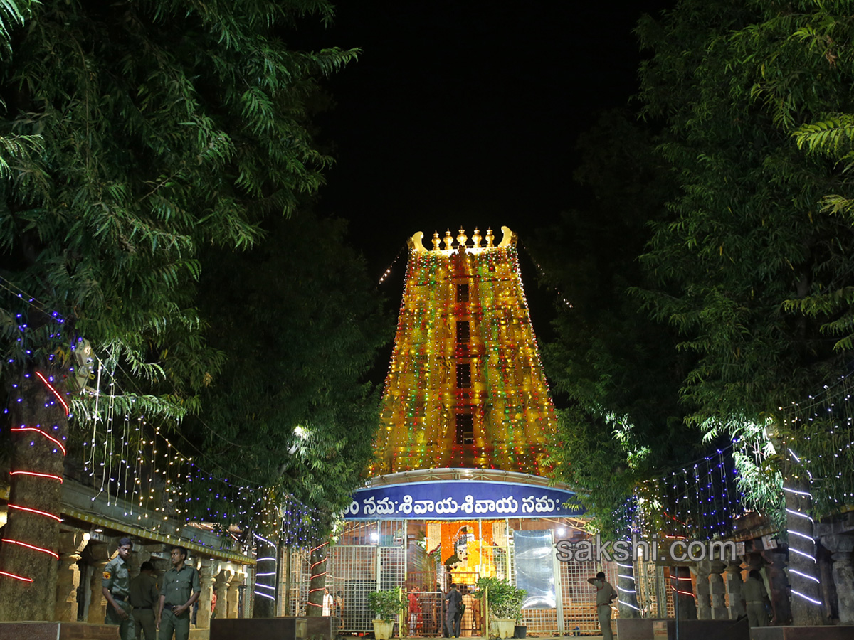 Maha Shivaratri celebrations - Sakshi11