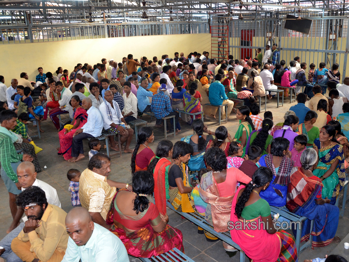 Maha Shivaratri celebrations - Sakshi20