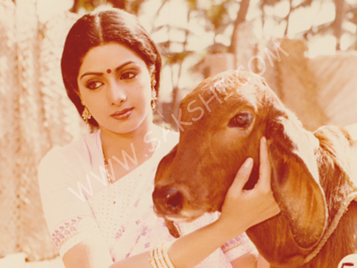 sridevi rare photos - Sakshi14