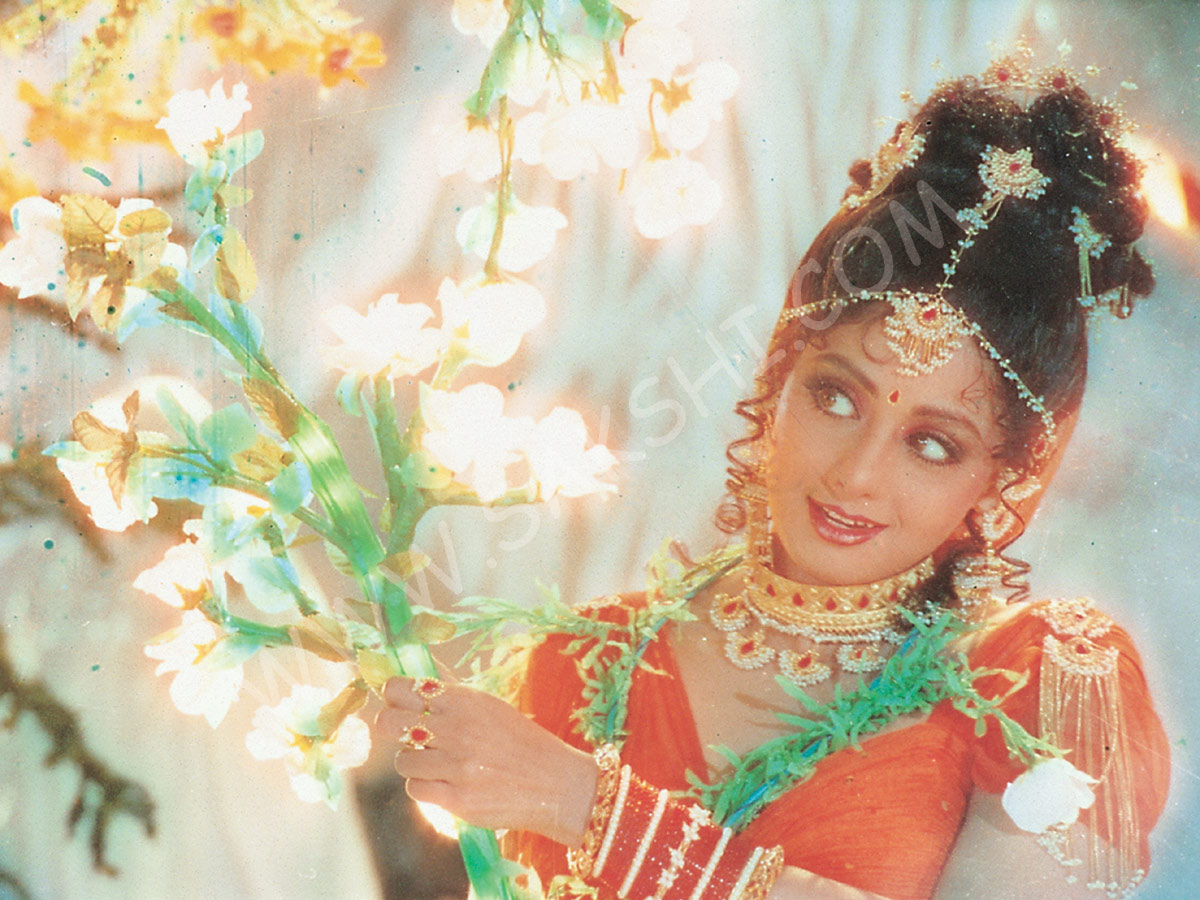 sridevi rare photos - Sakshi24