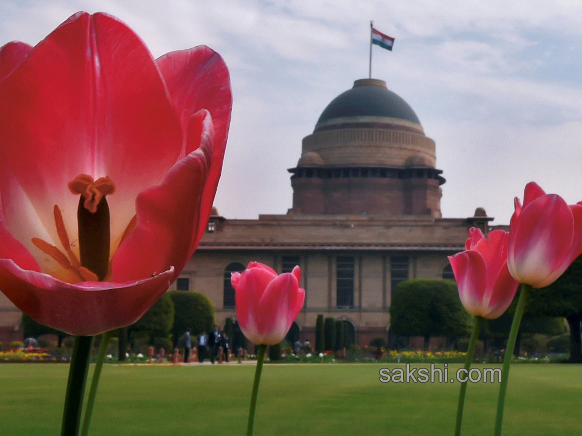 Mughal Gardens at Rashtrapati Bhavan in New Delhi - Sakshi14