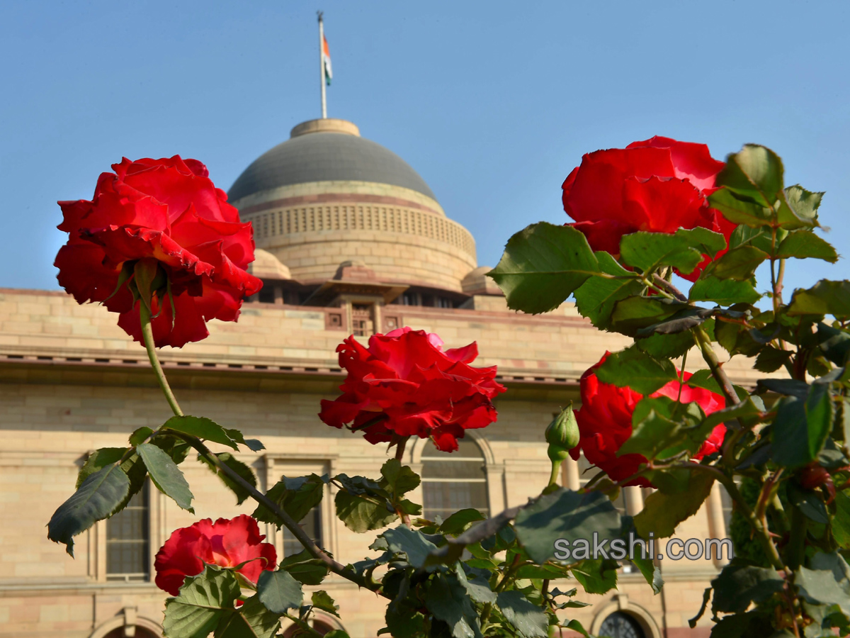 Mughal Gardens at Rashtrapati Bhavan in New Delhi - Sakshi6