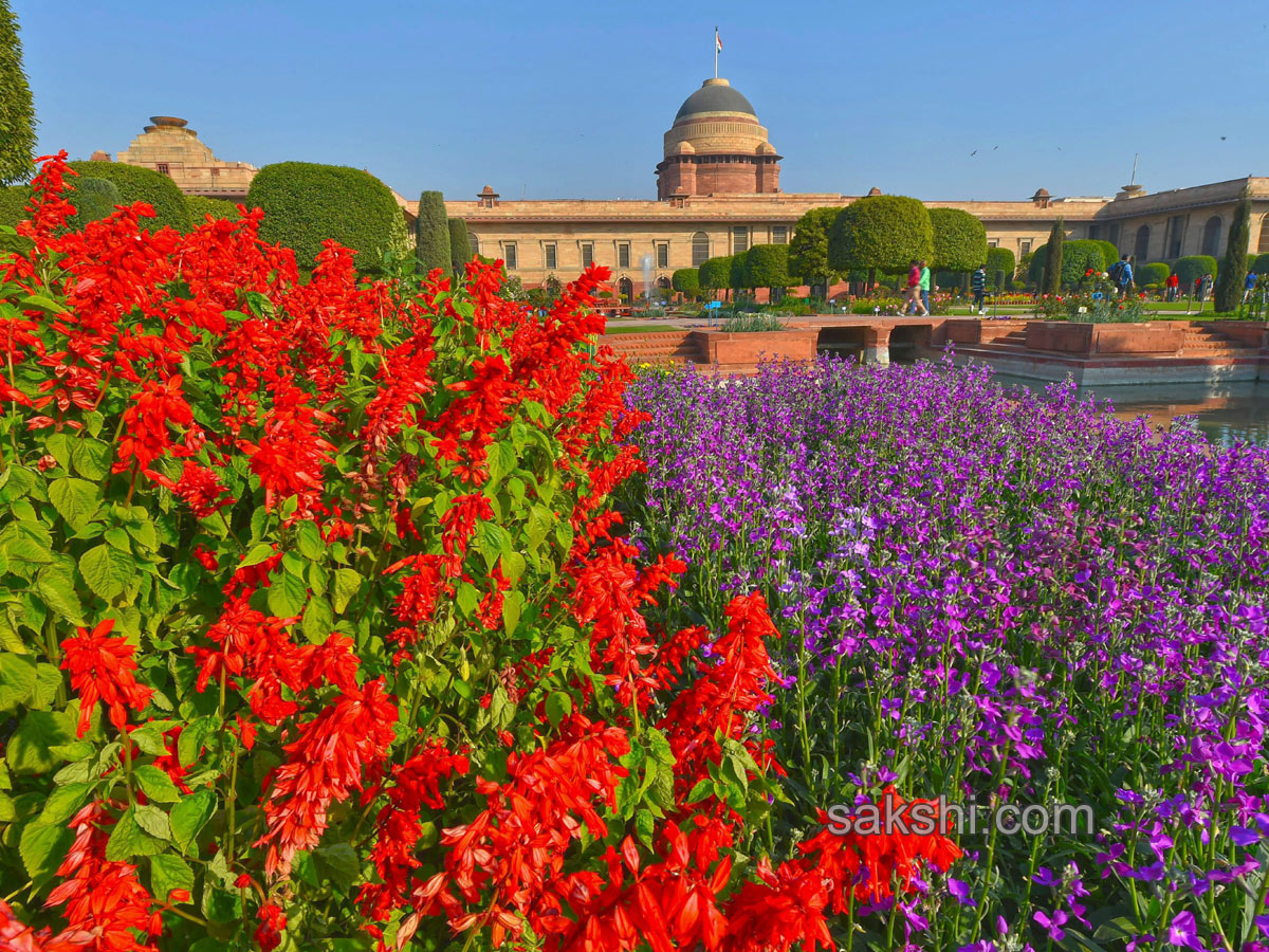 Mughal Gardens at Rashtrapati Bhavan in New Delhi - Sakshi7