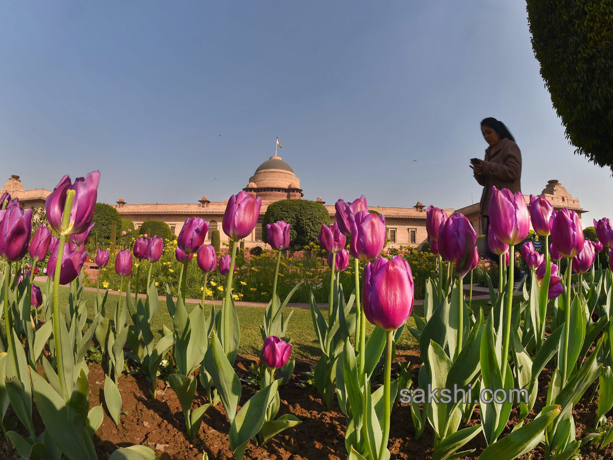 Mughal Gardens at Rashtrapati Bhavan in New Delhi - Sakshi10