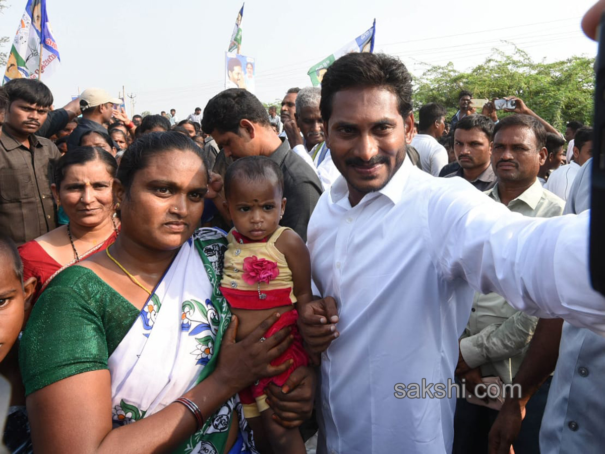 ys jagan mohan reddy cake cutting sakshi 10th anniversary - Sakshi13