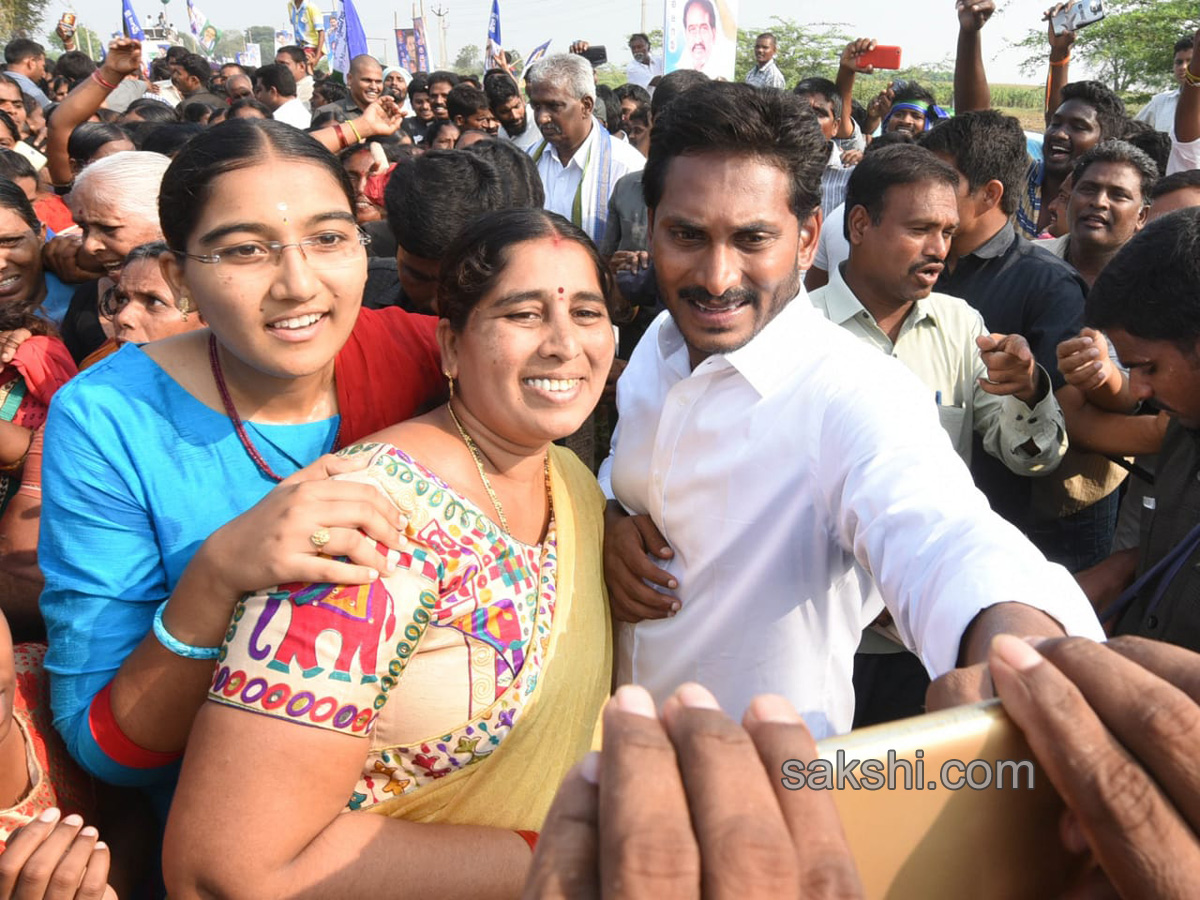 ys jagan mohan reddy cake cutting sakshi 10th anniversary - Sakshi14