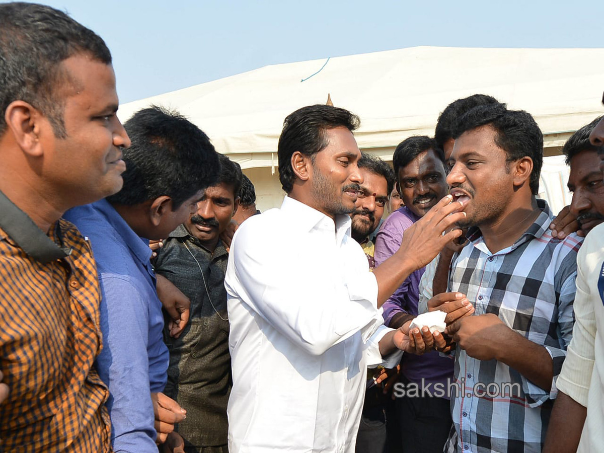 ys jagan mohan reddy cake cutting sakshi 10th anniversary - Sakshi15