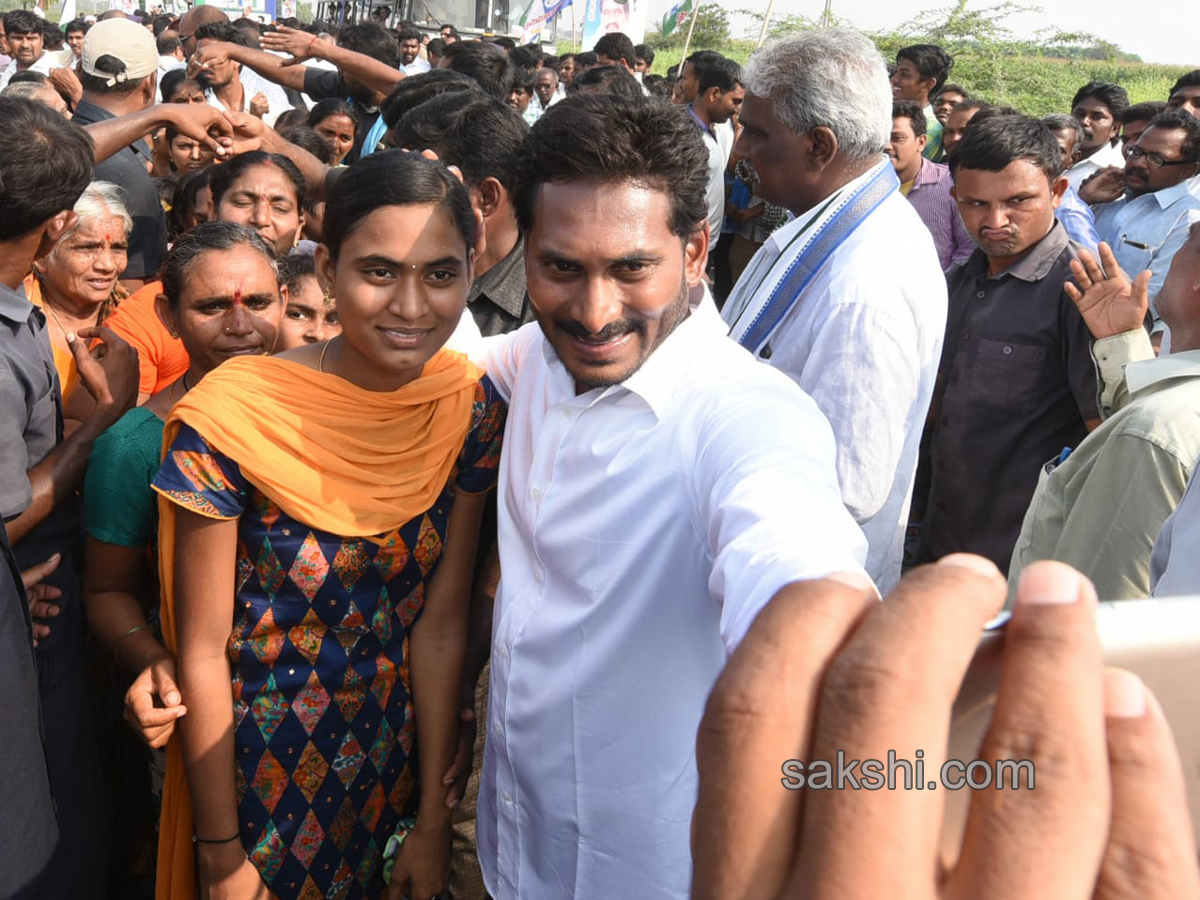 ys jagan mohan reddy cake cutting sakshi 10th anniversary - Sakshi6
