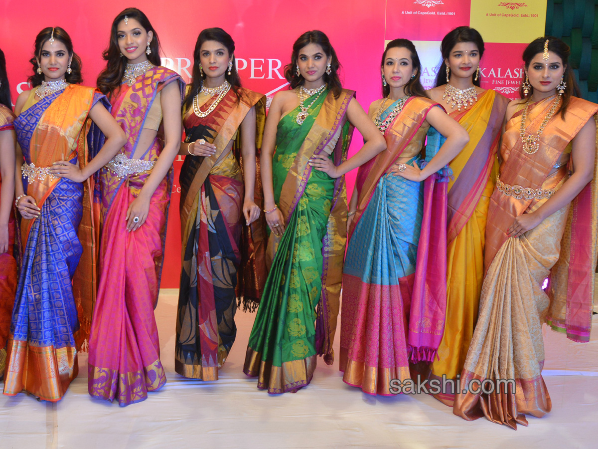 Womens day celebration at mari gold hotel ameerpet - Sakshi2