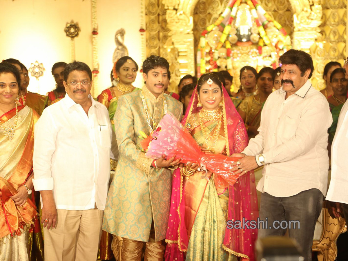 Producer C.Kalyan Son Teja Wedding Photos - Sakshi7