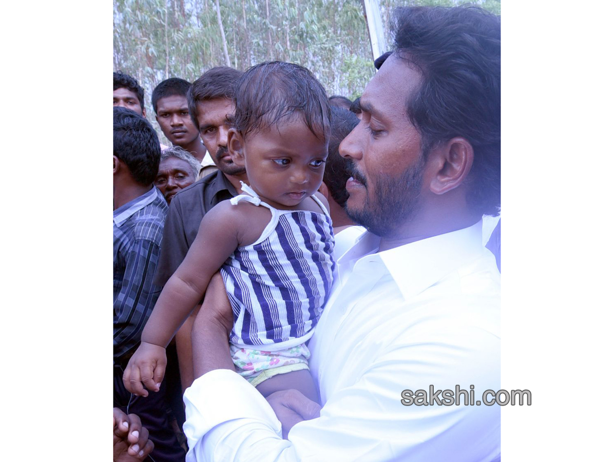 YS Jagan PrajaSankalpaYatra 144th day Photo Gallery - Sakshi8