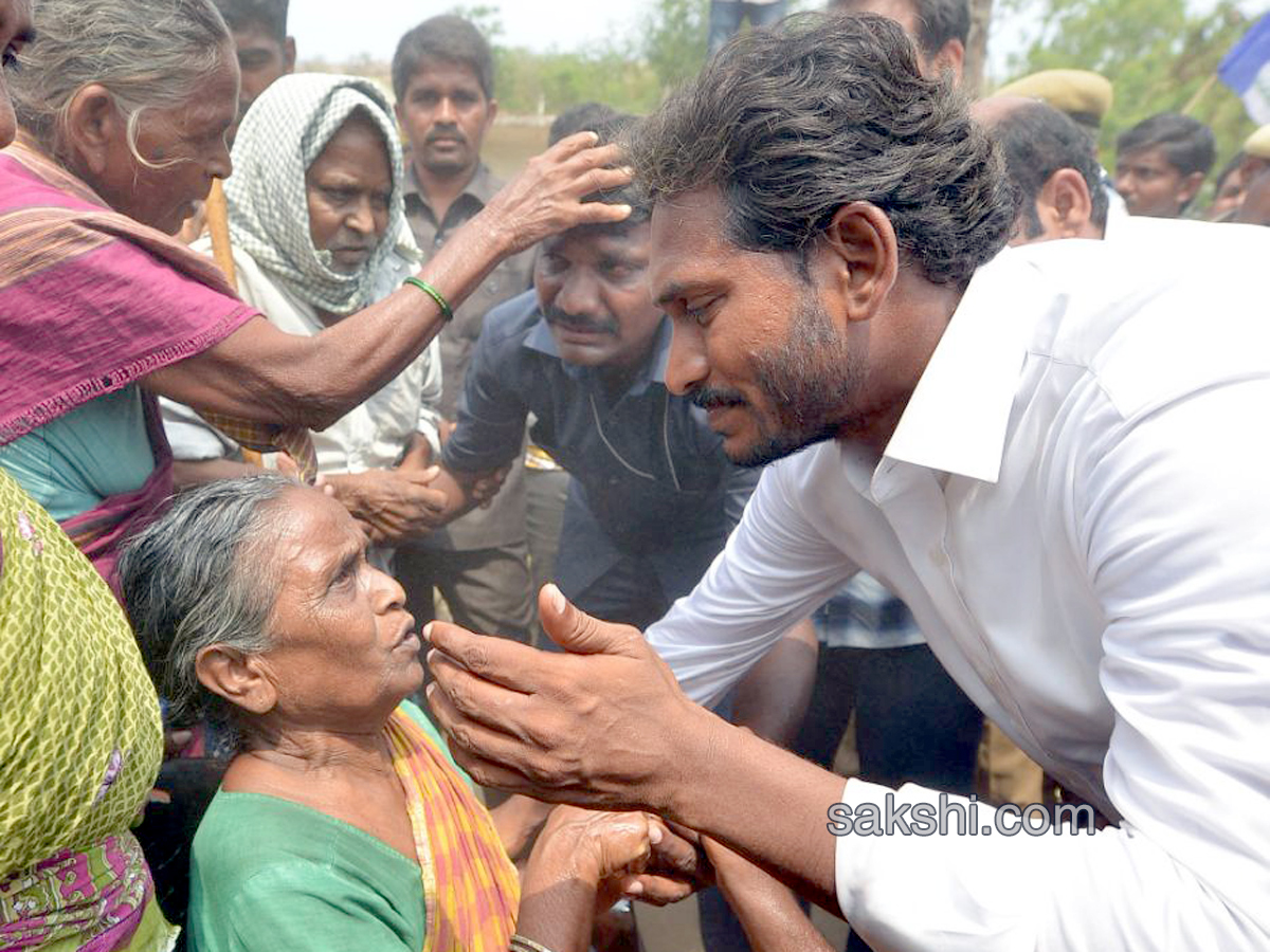 YS Jagan PrajaSankalpaYatra 144th day Photo Gallery - Sakshi23
