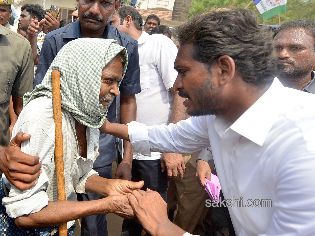 YS Jagan PrajaSankalpaYatra 144th day Photo Gallery - Sakshi24