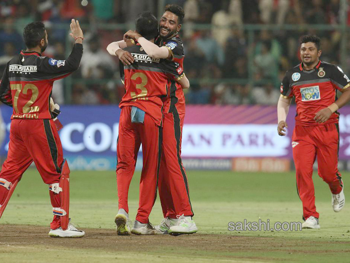 Bachu Rcb బెంగళూరు బొనాంజా | rcb beat srh14-runs | Sakshi