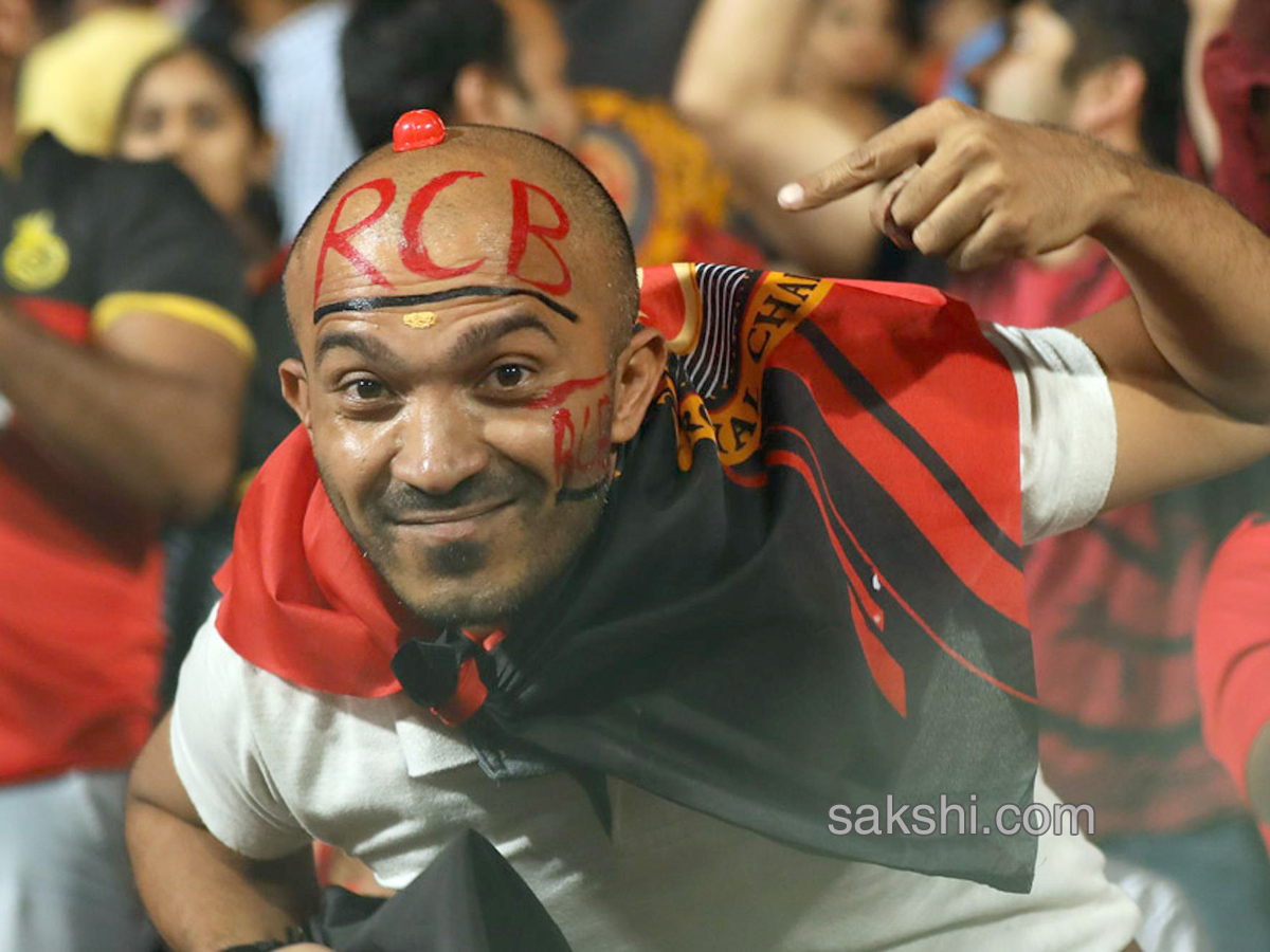 Bachu Rcb బెంగళూరు బొనాంజా | rcb beat srh14-runs | Sakshi