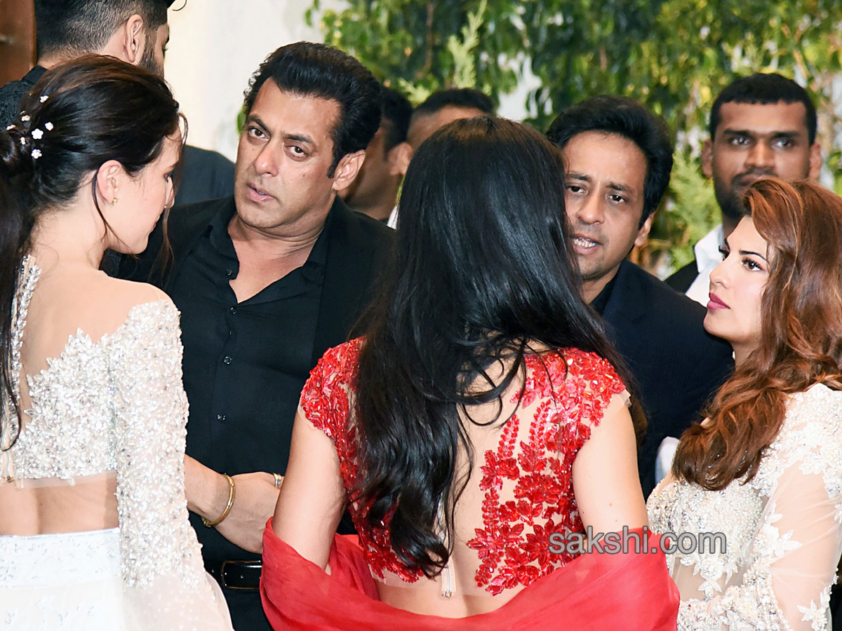 Sonam Kapoor And Anand Ahuja's Reception - Sakshi9