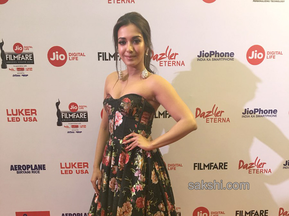 south jio filmfare awards 2018 winners Photo Galllery - Sakshi14