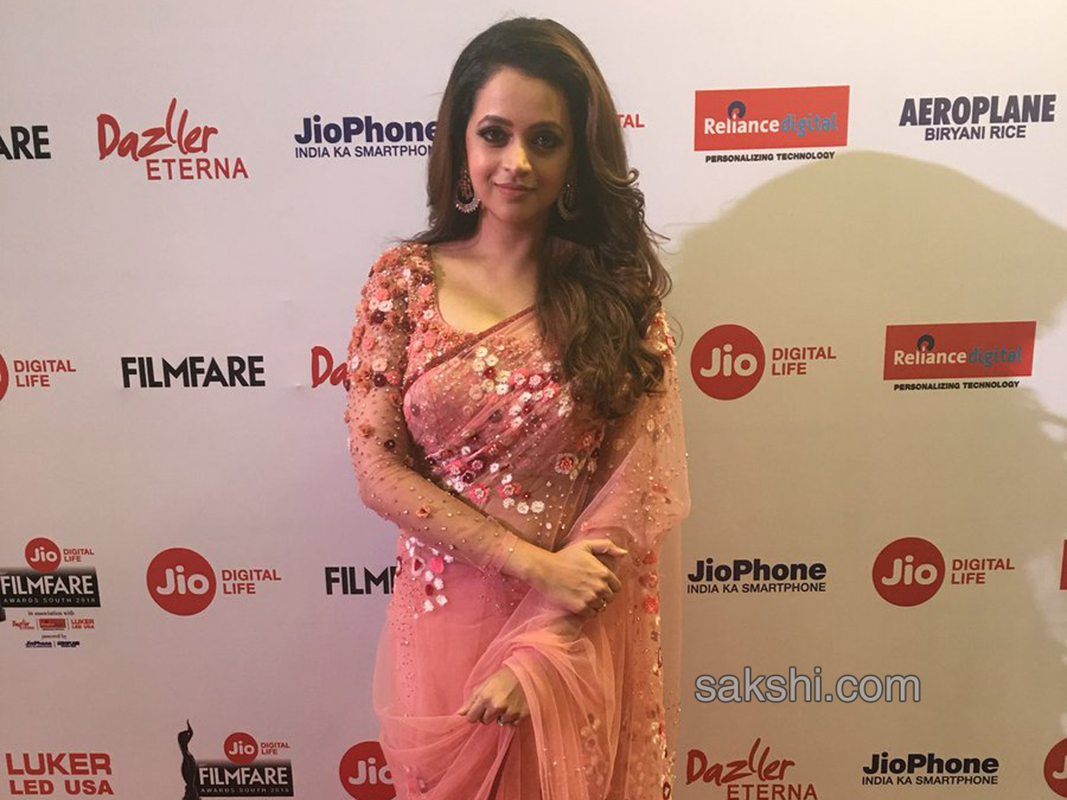 south jio filmfare awards 2018 winners Photo Galllery - Sakshi6