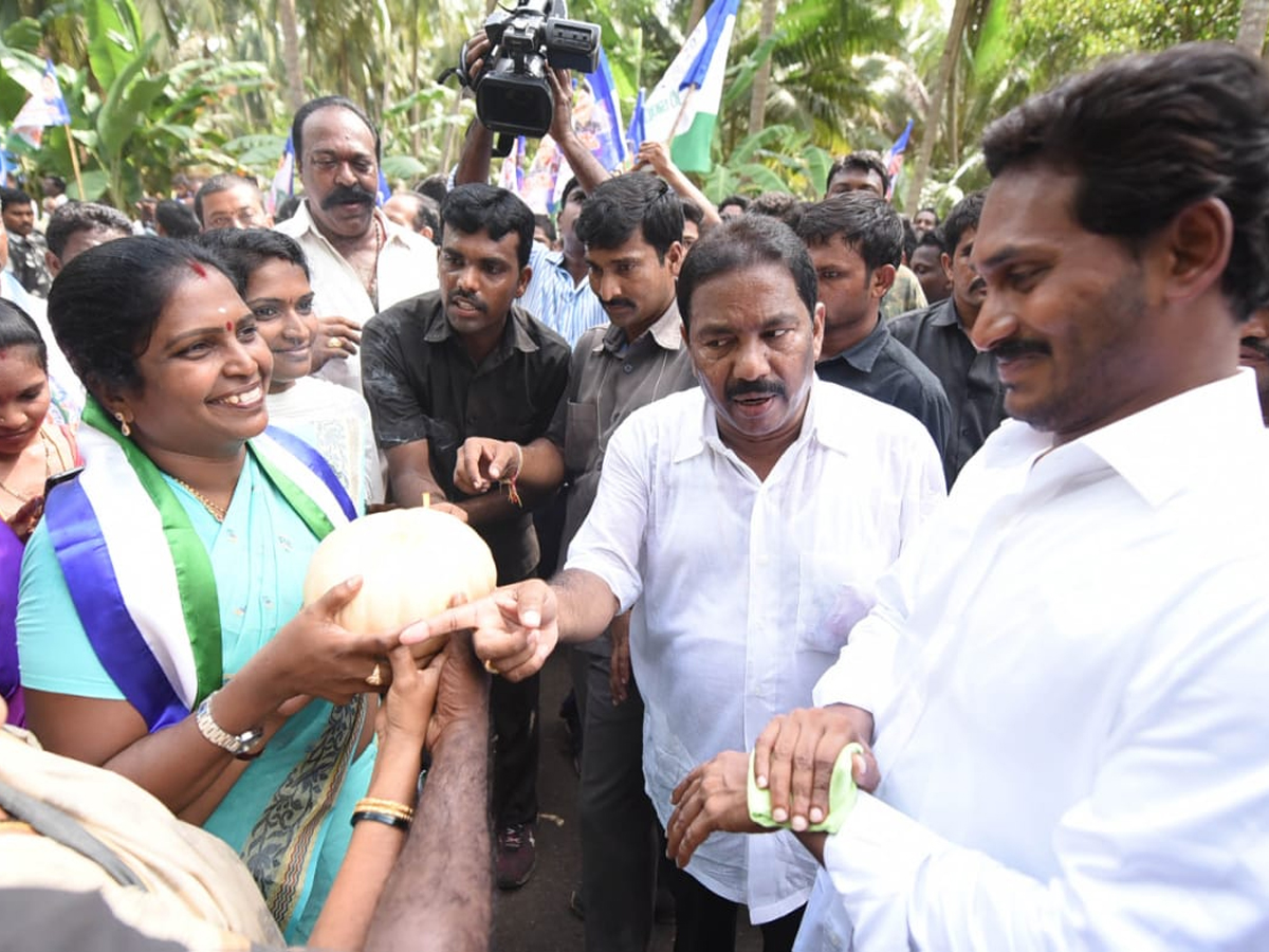 Ys Jagan Mohan Reddy Padayatra day 201 images - Sakshi1