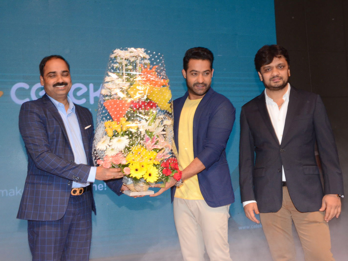 NTR Is the Brand Ambassador for Celekt Mobiles Photo Gallery - Sakshi9