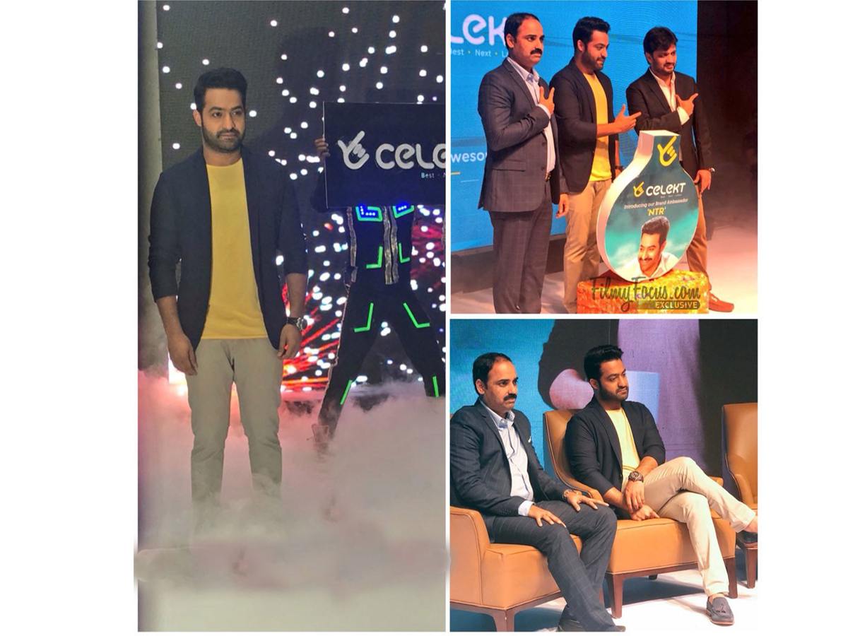 NTR Is the Brand Ambassador for Celekt Mobiles Photo Gallery - Sakshi2