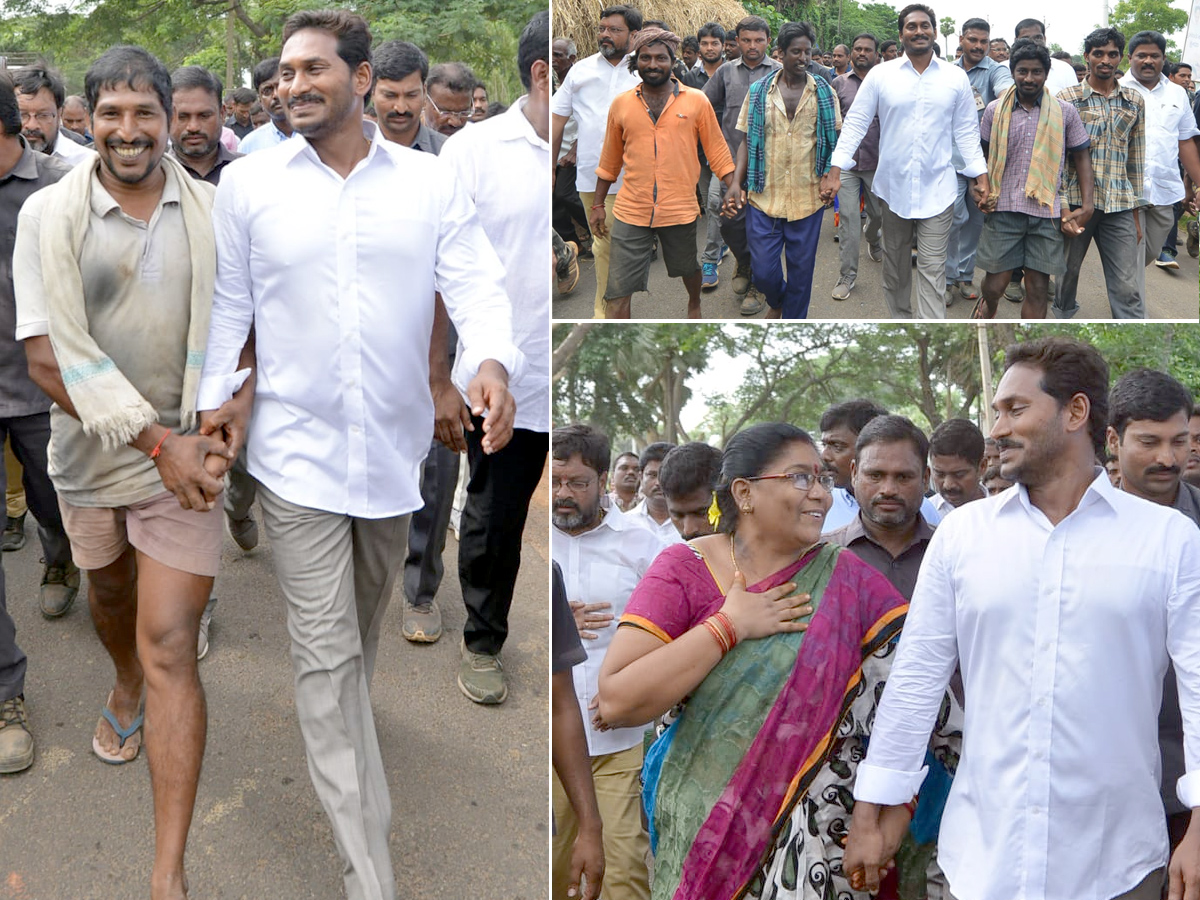 Ys Jagan Mohan Reddy Padayatra day 221 PHoto Gallery - Sakshi3