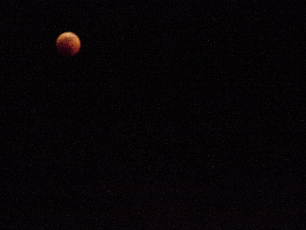 Blood moon Photo Gallery - Sakshi15