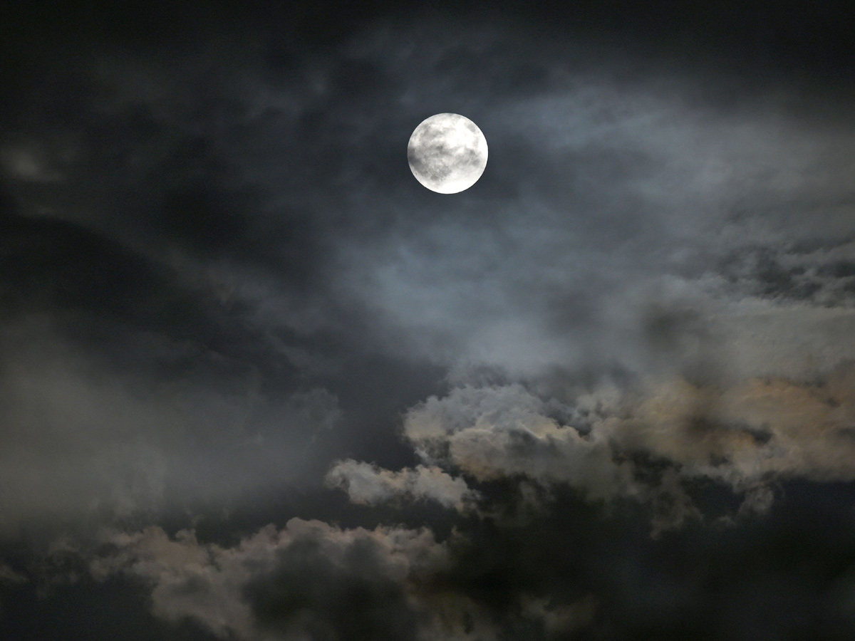 Blood moon Photo Gallery - Sakshi19