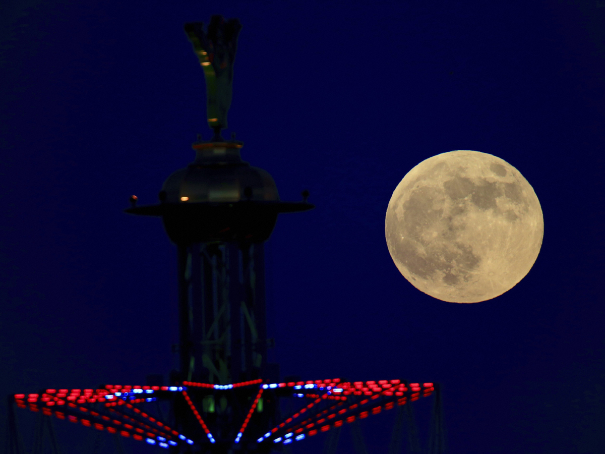 Blood moon Photo Gallery - Sakshi3