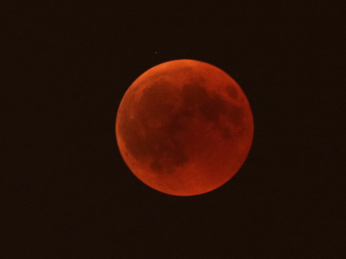Blood moon Photo Gallery - Sakshi6